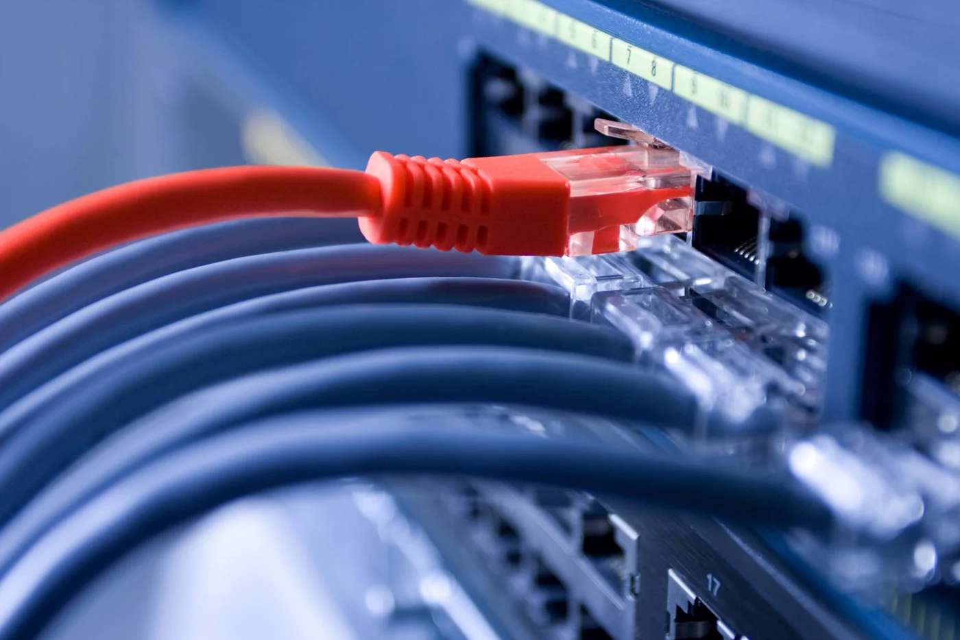 Καλώδια Ethernet σε επαγγελματικό δικτυακό εξοπλισμό